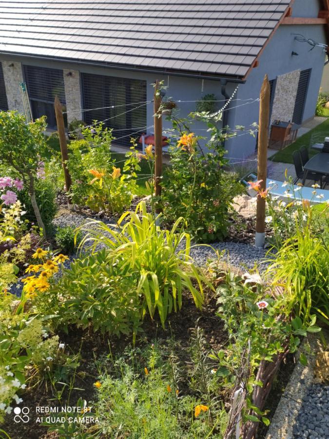 Apartman Eliska Vinohradni 200 Lägenhet Šimonovice Exteriör bild